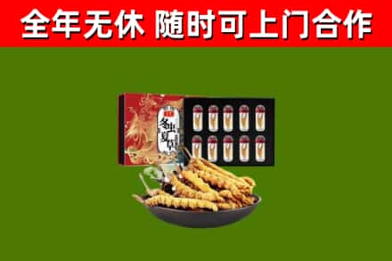 渝中区回收冬虫夏草价格